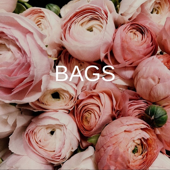 Bags - Picture 1 of 1